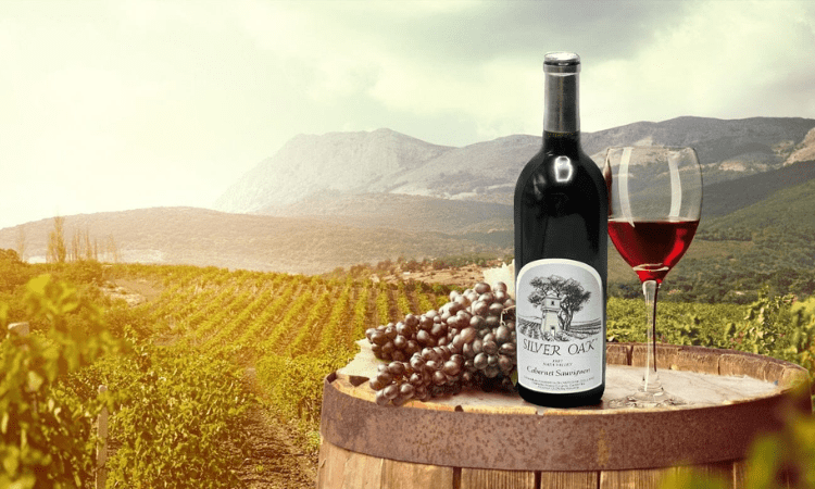 Silver Oak Alexander Valley Cabernet Sauvignon 2024- Taste, Prices, and Key Features